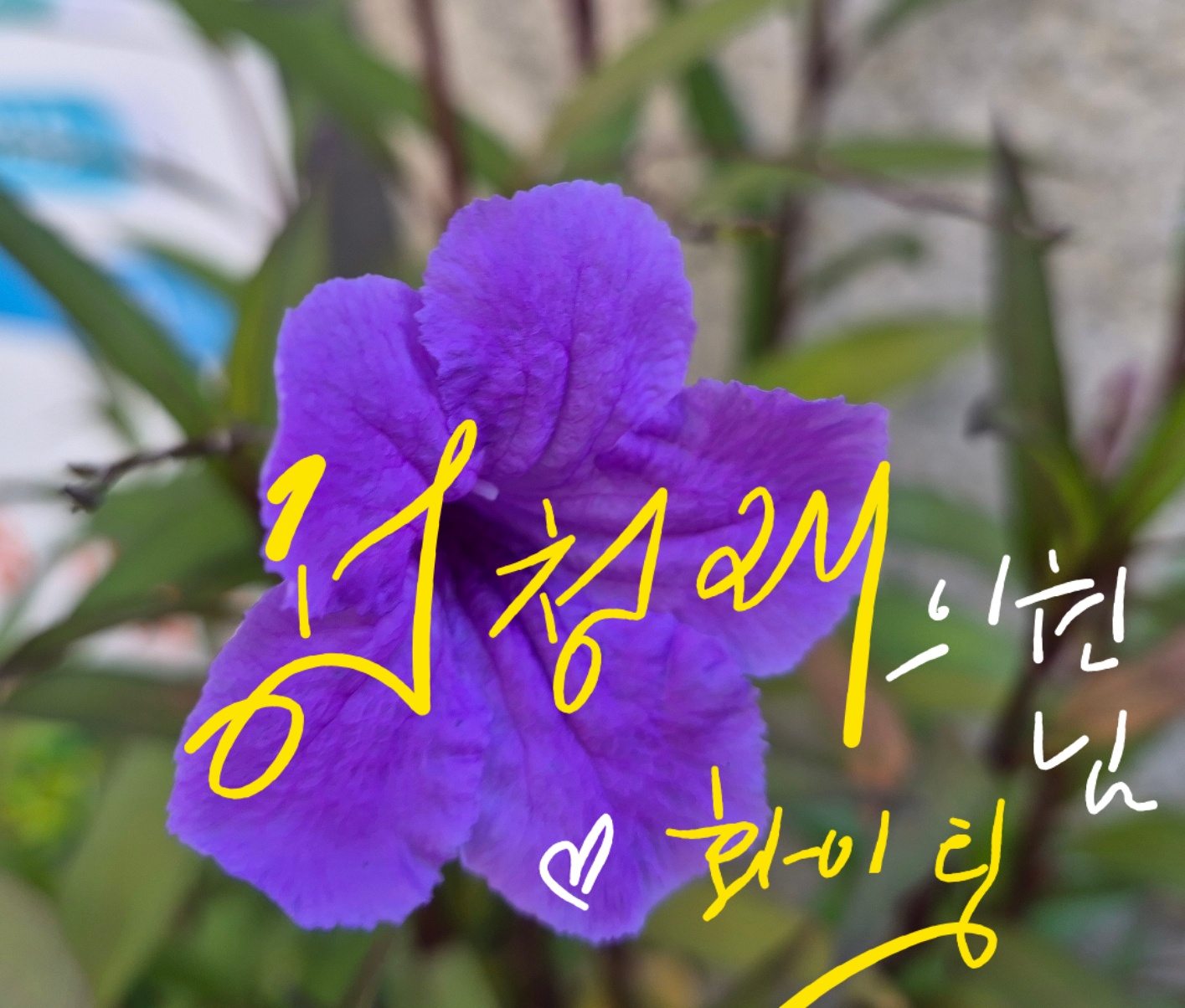 첨부 이미지 1