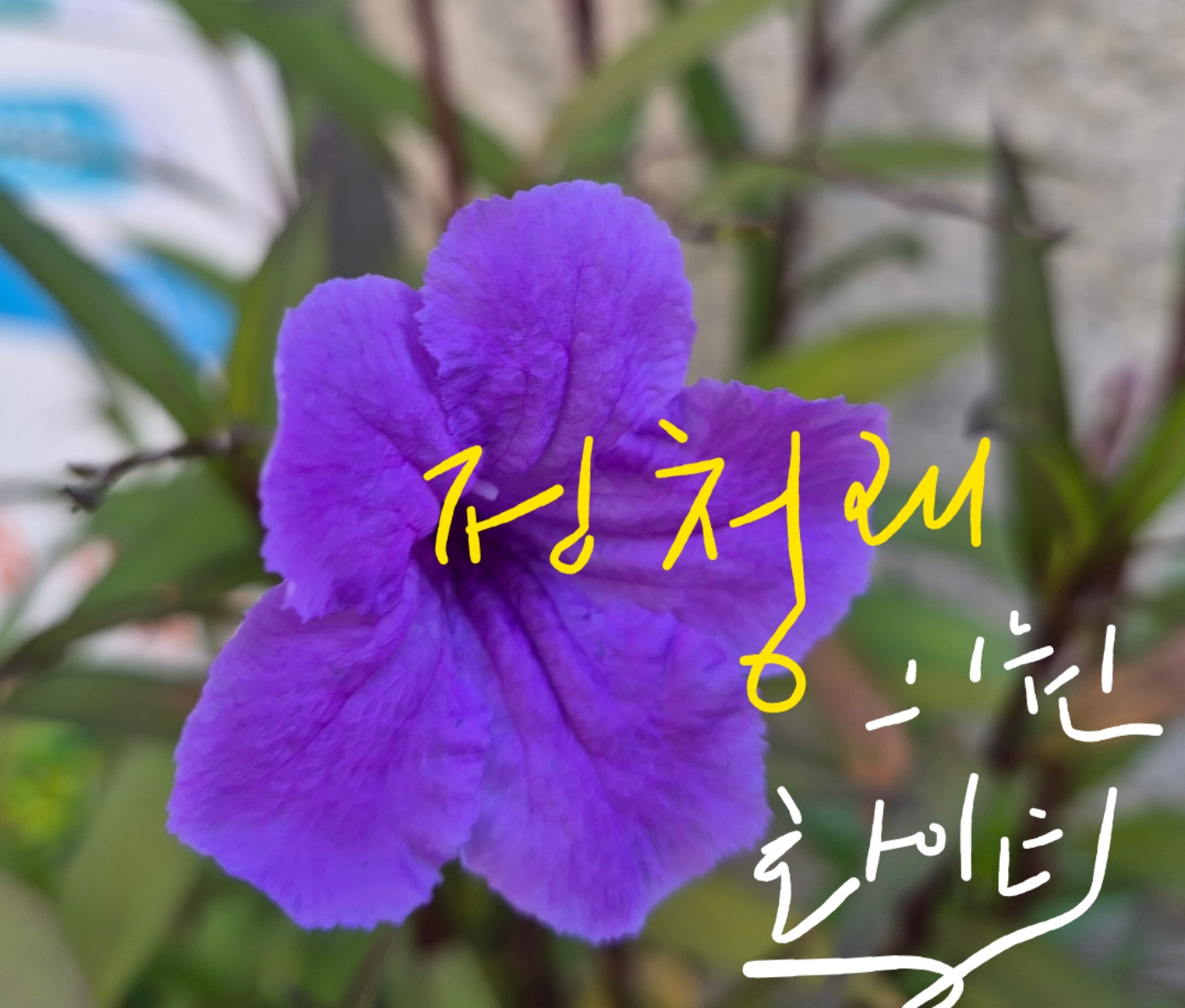 첨부 이미지 1