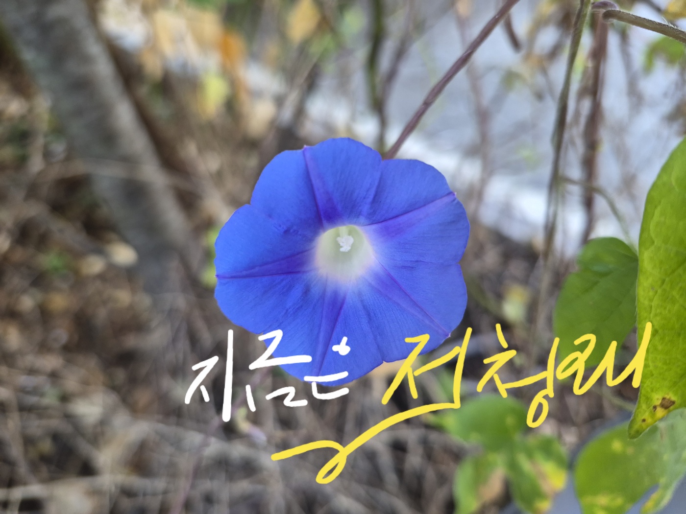 첨부 이미지 1
